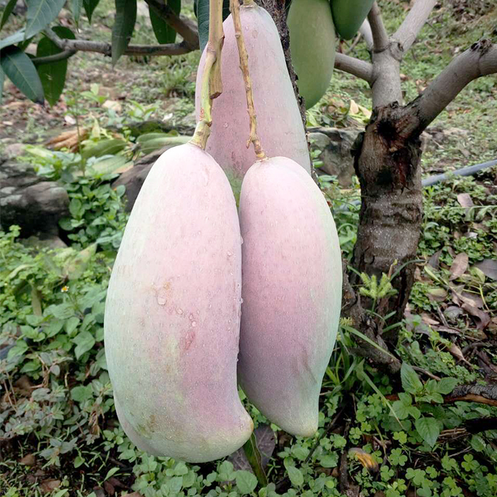 Cloud Zoom small image