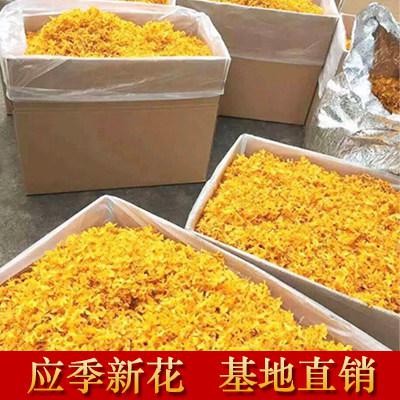 Cloud Zoom small image