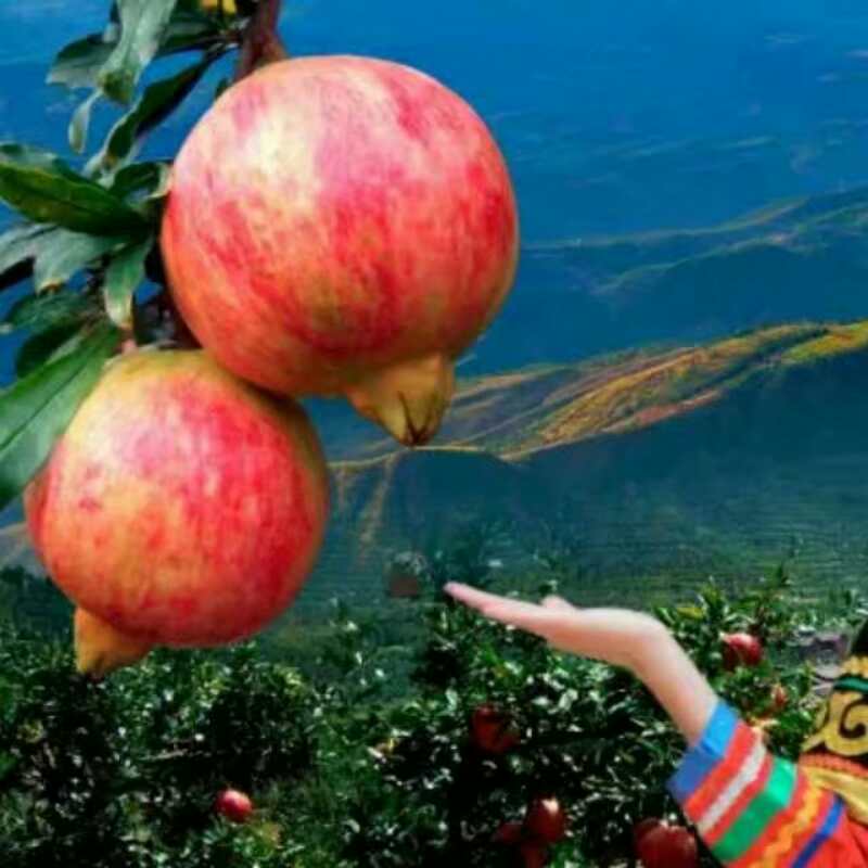 Cloud Zoom small image