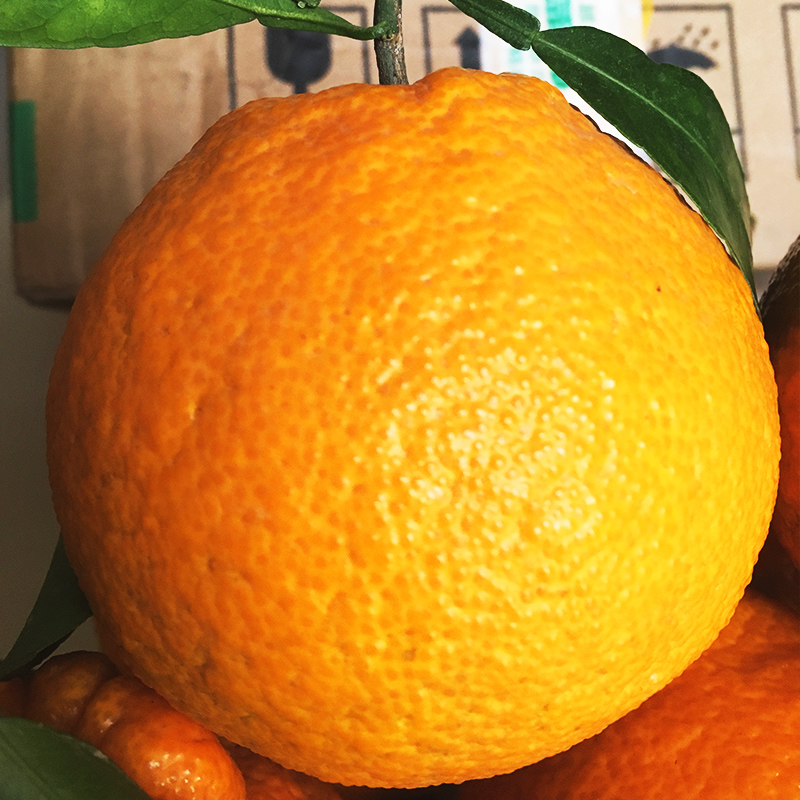 Cloud Zoom small image