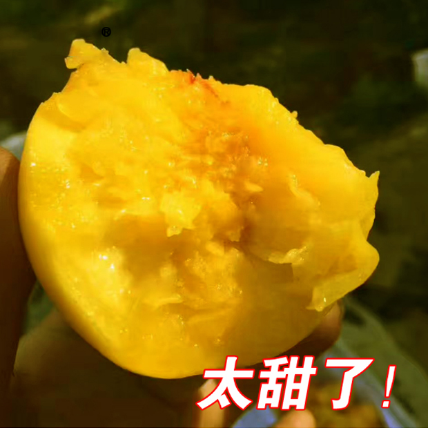 Cloud Zoom small image