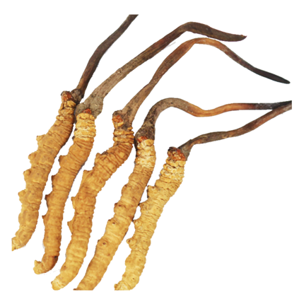 Cloud Zoom small image