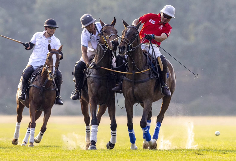 20190930153630_89482.jpg 微信图片_20190930105623_副本.jpg