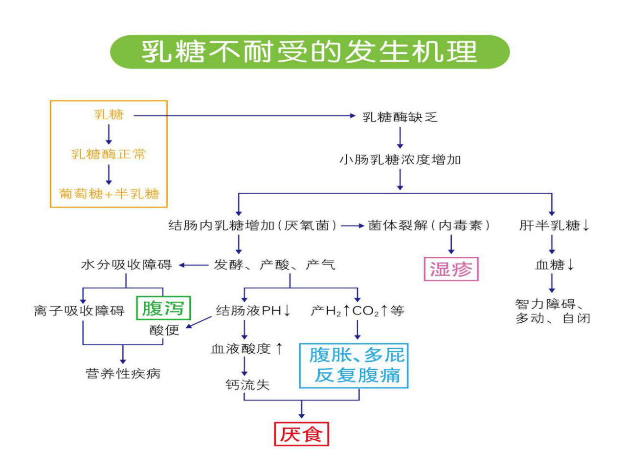 乳糖不耐受的分类