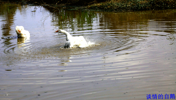 2017下期摄影班王昌碧学员作品