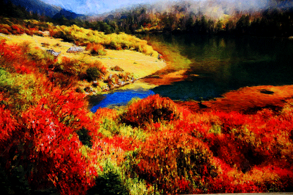 2017下期摄影班胡国容学员作品