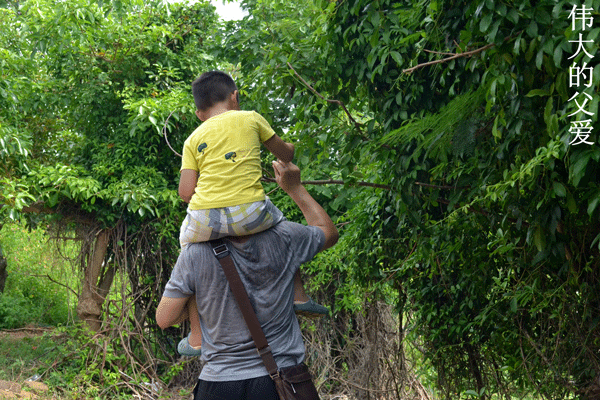 2018老年大学下期摄影班王昌碧学员作品