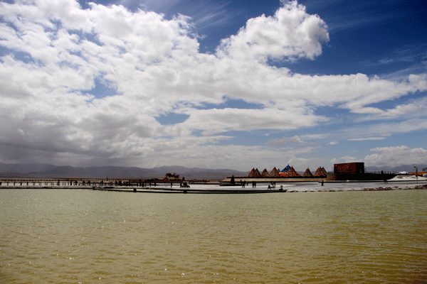 2018老年大学下期摄影班王凤贤学员作品