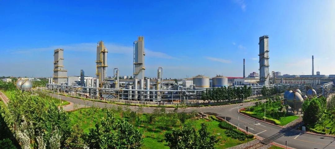 20180917160248_81847.jpg 640.webp (38).jpg