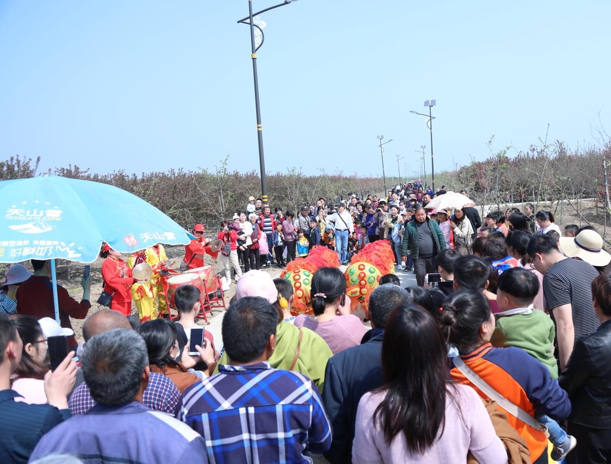 2019第四届海棠节