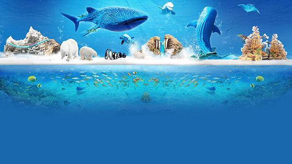 珠海长隆国际海洋度假区.jpg