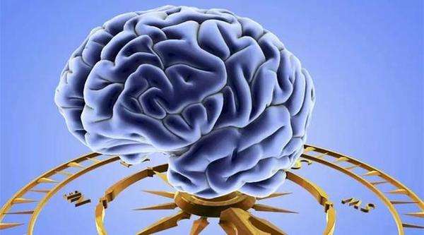 哪些部位的中风容易引起失智？