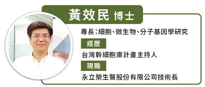 台湾治玻璃娃娃 台湾治玻璃娃娃