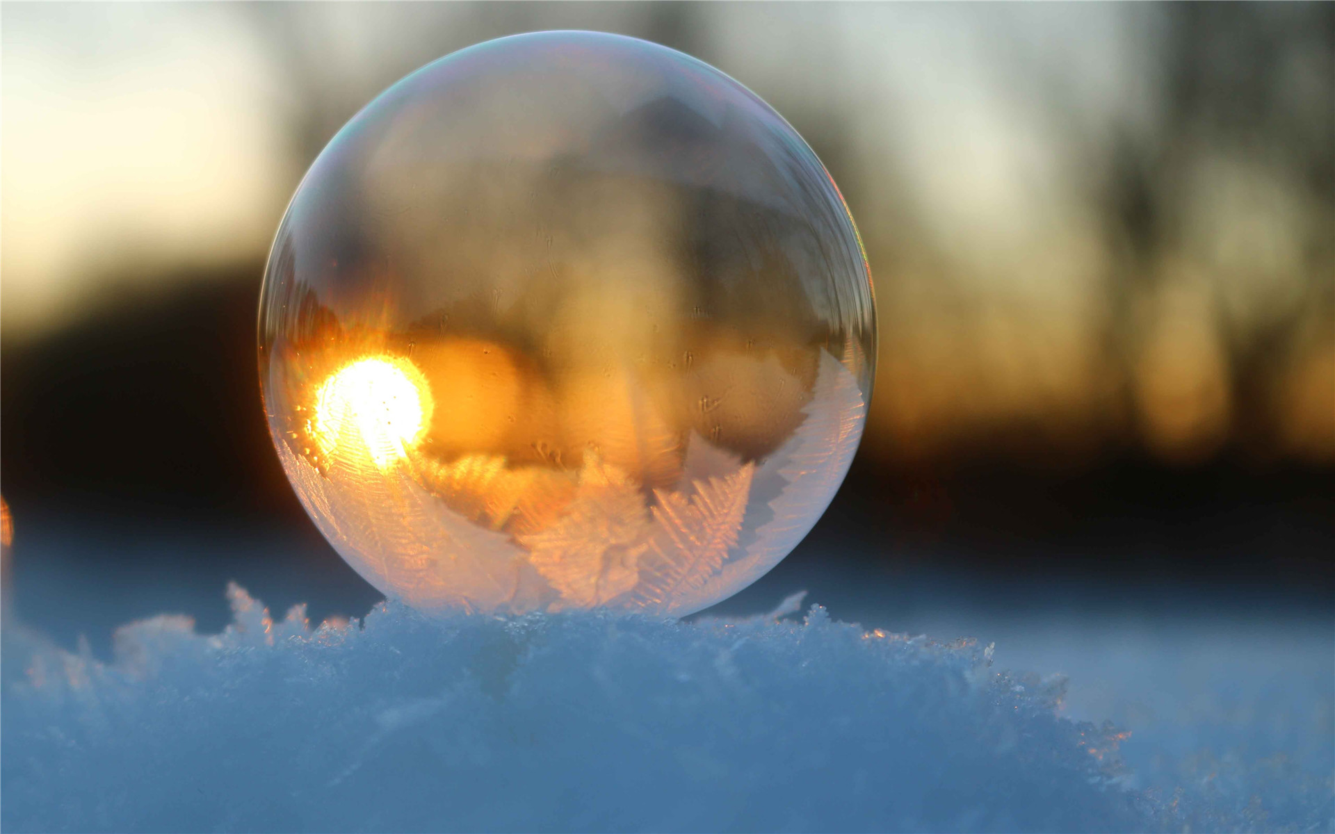 热烈庆祝山东科慧辐射检测评价有限公司网站顺利开通