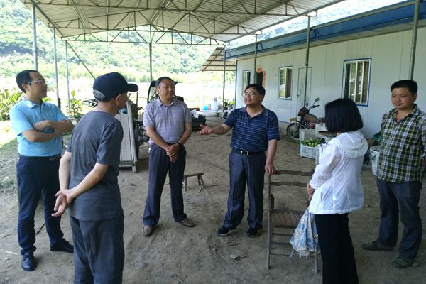 市人大常委会赴横渡镇开展调研.jpg