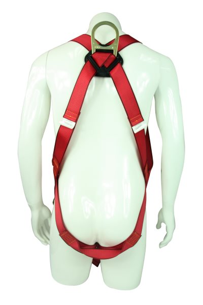 Cloud Zoom small image