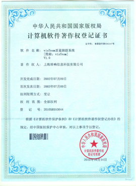 visTeam Summary著作权证书