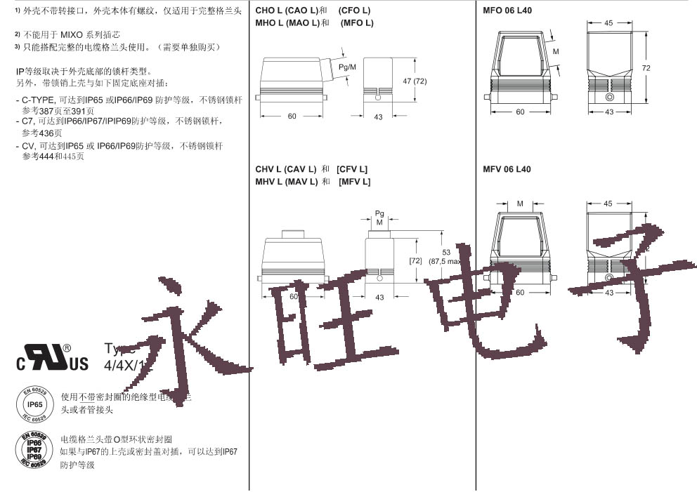 CHV 06 L16资料3 副本.jpg