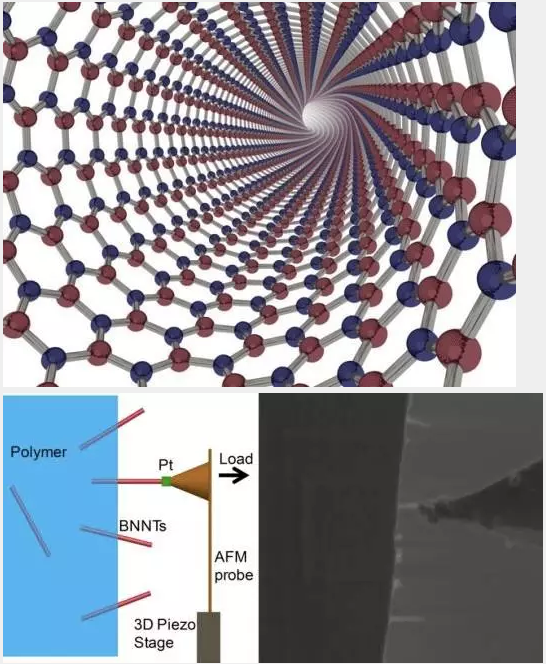 氮化硼纳米管 boron nitride nanotubes