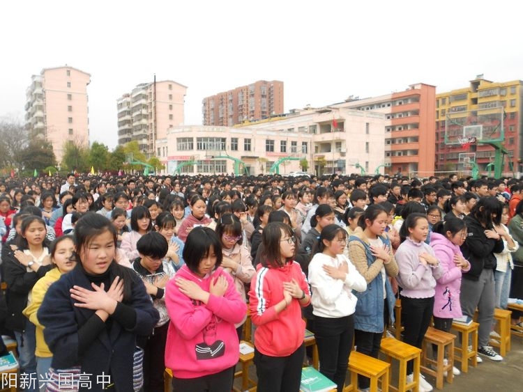 20190427202505_36462.jpg 6.jpg