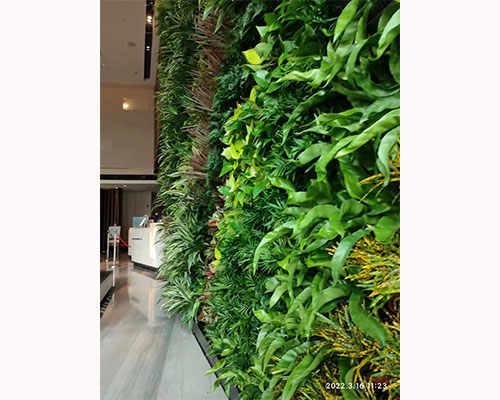 苏州香格里拉大酒店的植物墙，不锈钢植物墙