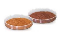 Cloud Zoom small image