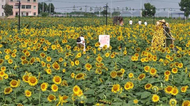 20251010201014_85530.jpg 20251010201014_85530.jpg