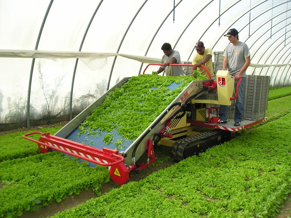 FR 32 蔬菜茎叶收获机/Baby Leaf Harvester