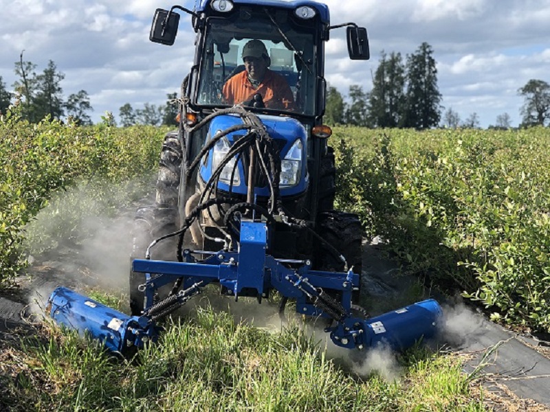 蒸汽除草机/Steam Weeder