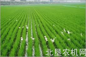 河南省保护性耕作病虫害防治项目介绍