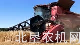 凯斯收割机作业视频