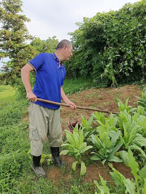 老苏服务日记2022年7月1日