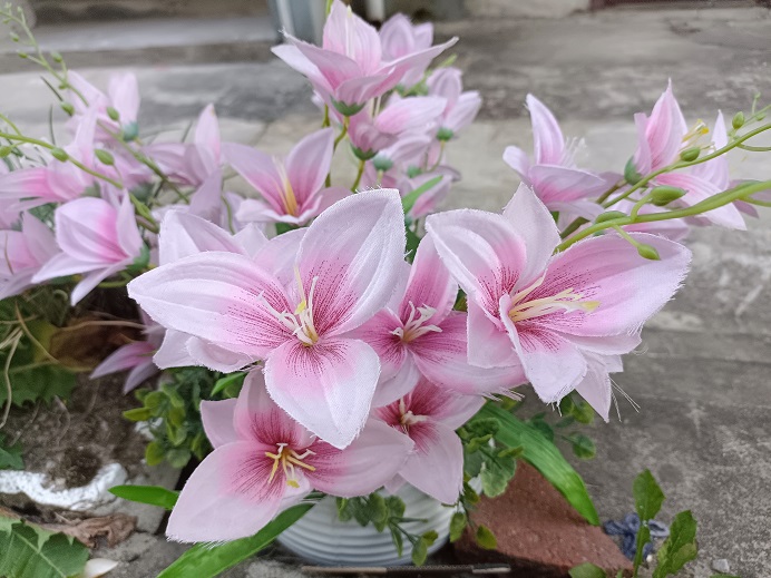 老苏服务日记2022年7月18日