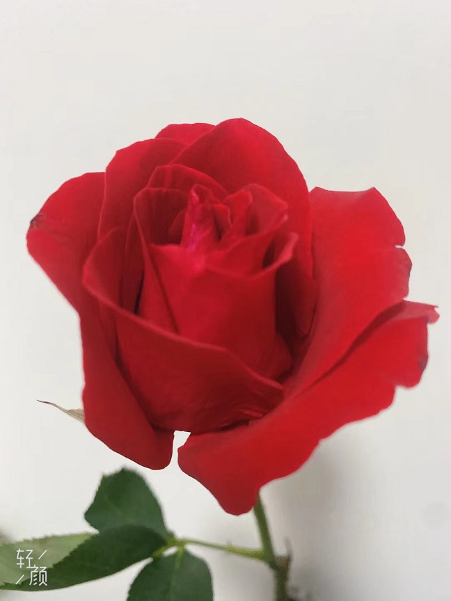 老苏服务日记2022年8月5日