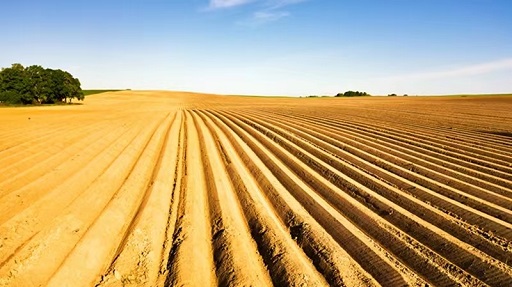 提升农机科技创新能力：深化产教研融合创新 + 强化农机人才培养