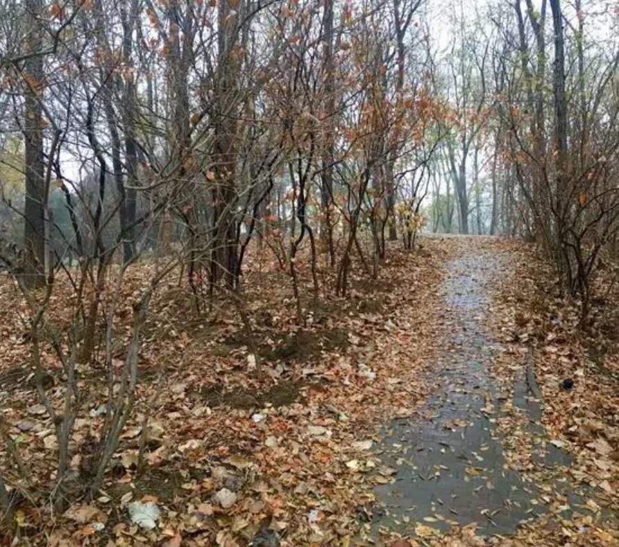 老苏服务日记2022年10月27日