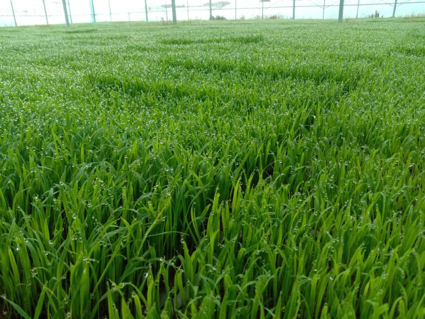 老苏服务日记2023年5月18日