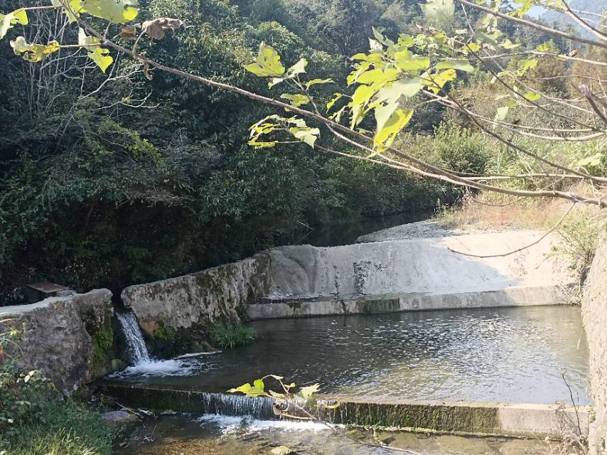 老苏服务日记2023年10月24日