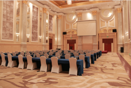 世纪厅：位于（会议中心一层）,共476平米，长28米，宽17米