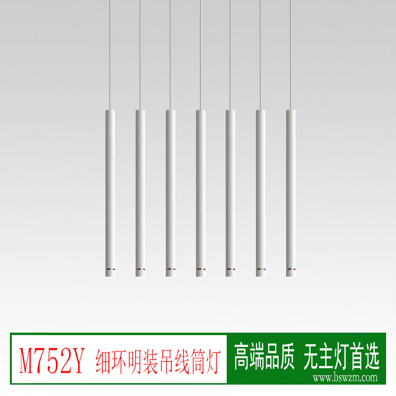 M752Y细环 明装吊线筒射灯1 (2).jpg