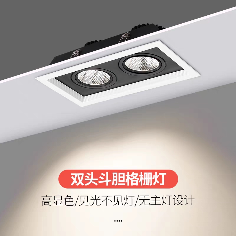 D6001Y新简易 万象转 斗胆射灯8 (1).jpg