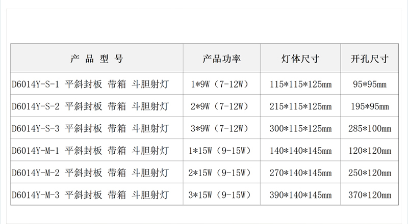 D6014Y 平斜封板 带箱 斗胆射灯1.jpg