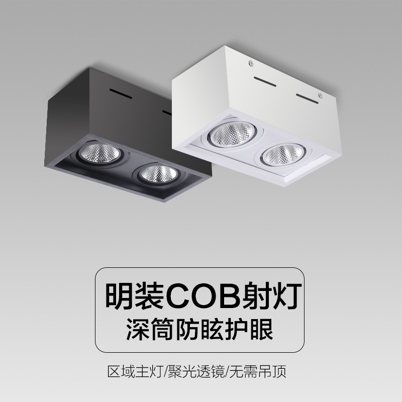 D6031Y封板 明装 斗胆射灯59.jpg
