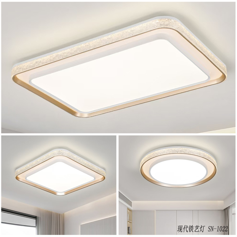 现代铁艺灯 SN-1022.jpg