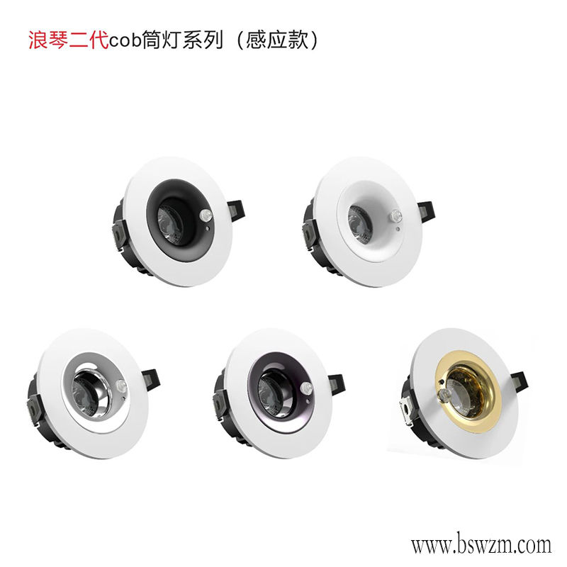 T337YX浪琴二代 感应筒灯2.jpg