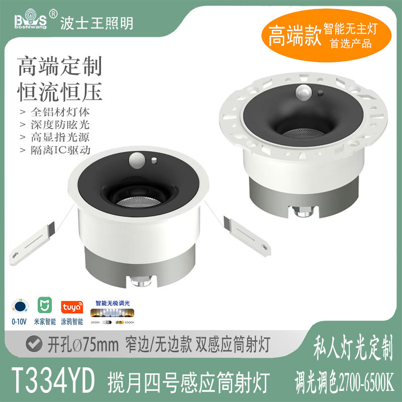 T334YD揽月四号 感应筒灯.jpg