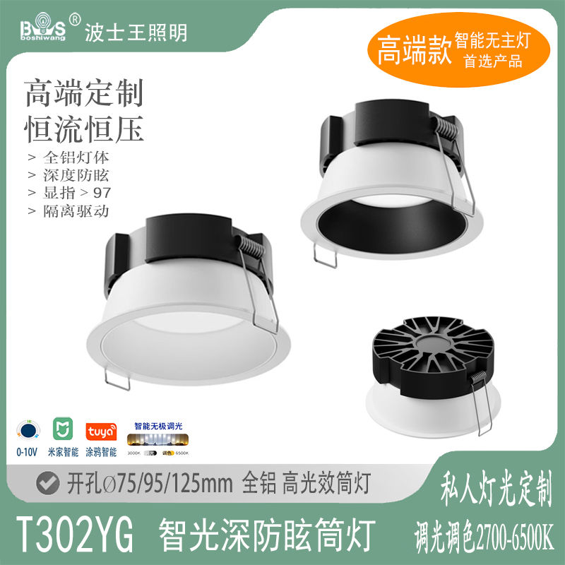 T302YG智光11.jpg