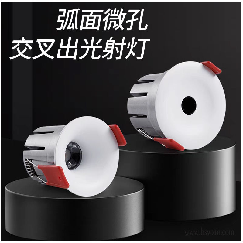 S209DM蝙蝠11.jpg