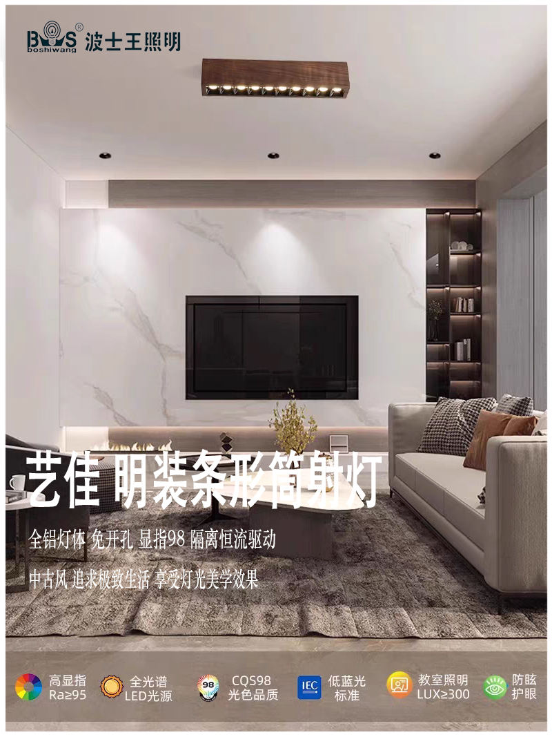 S5038YT艺佳 长条筒射灯6.jpg