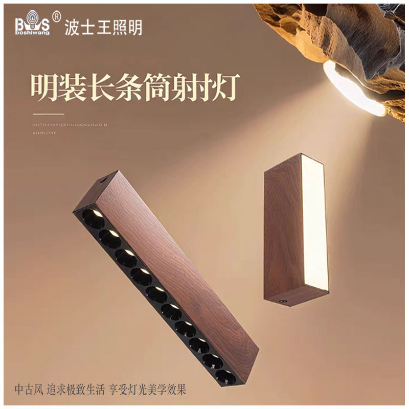 S5038YT艺佳 长条筒射灯40.jpg